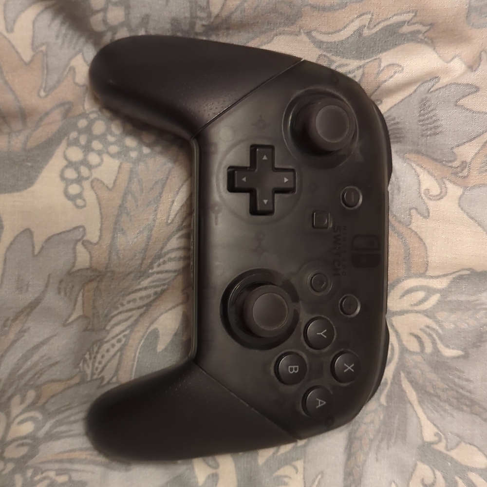 Nintendo Gray Wireless Controller